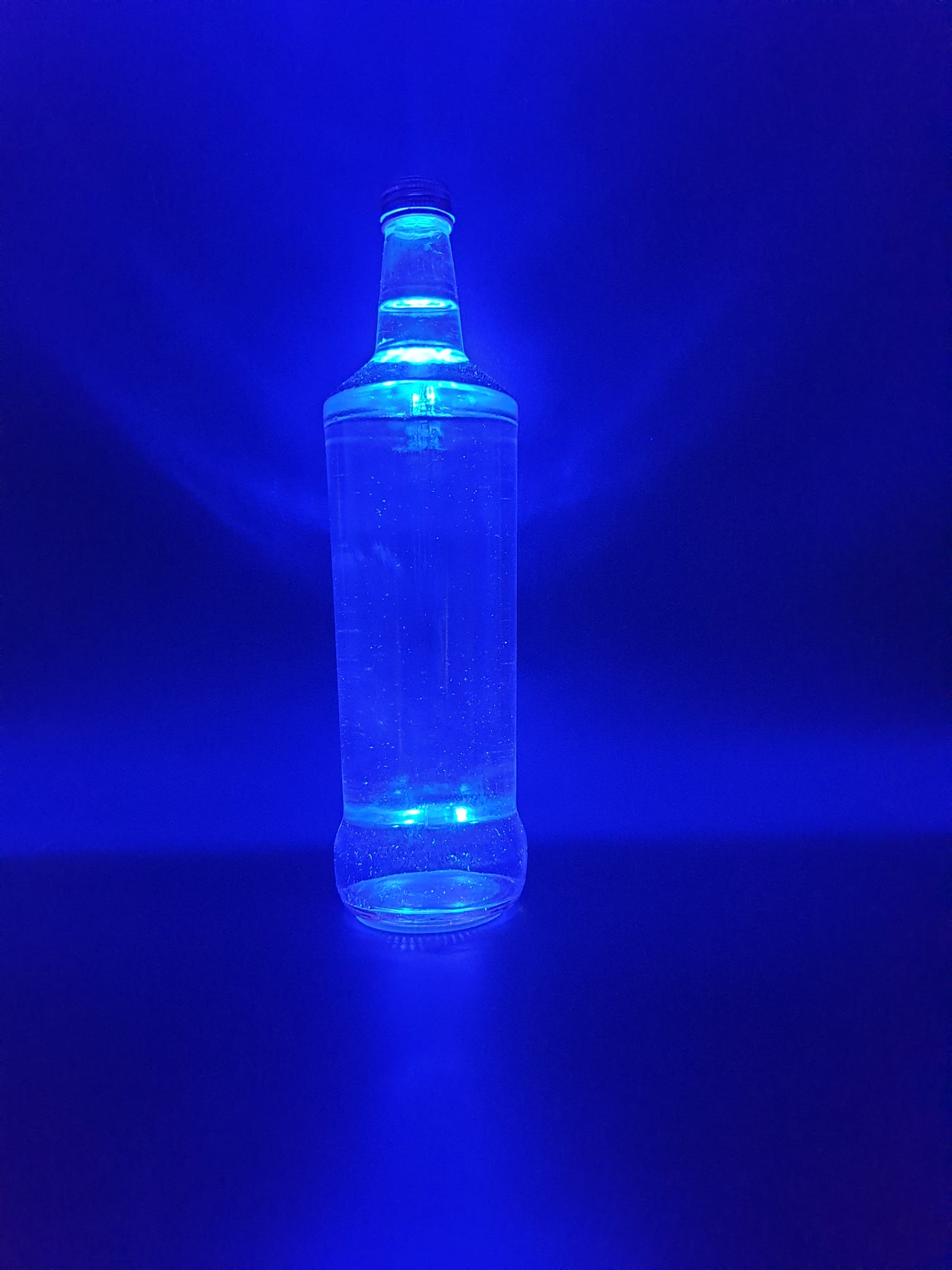 Led bottle light